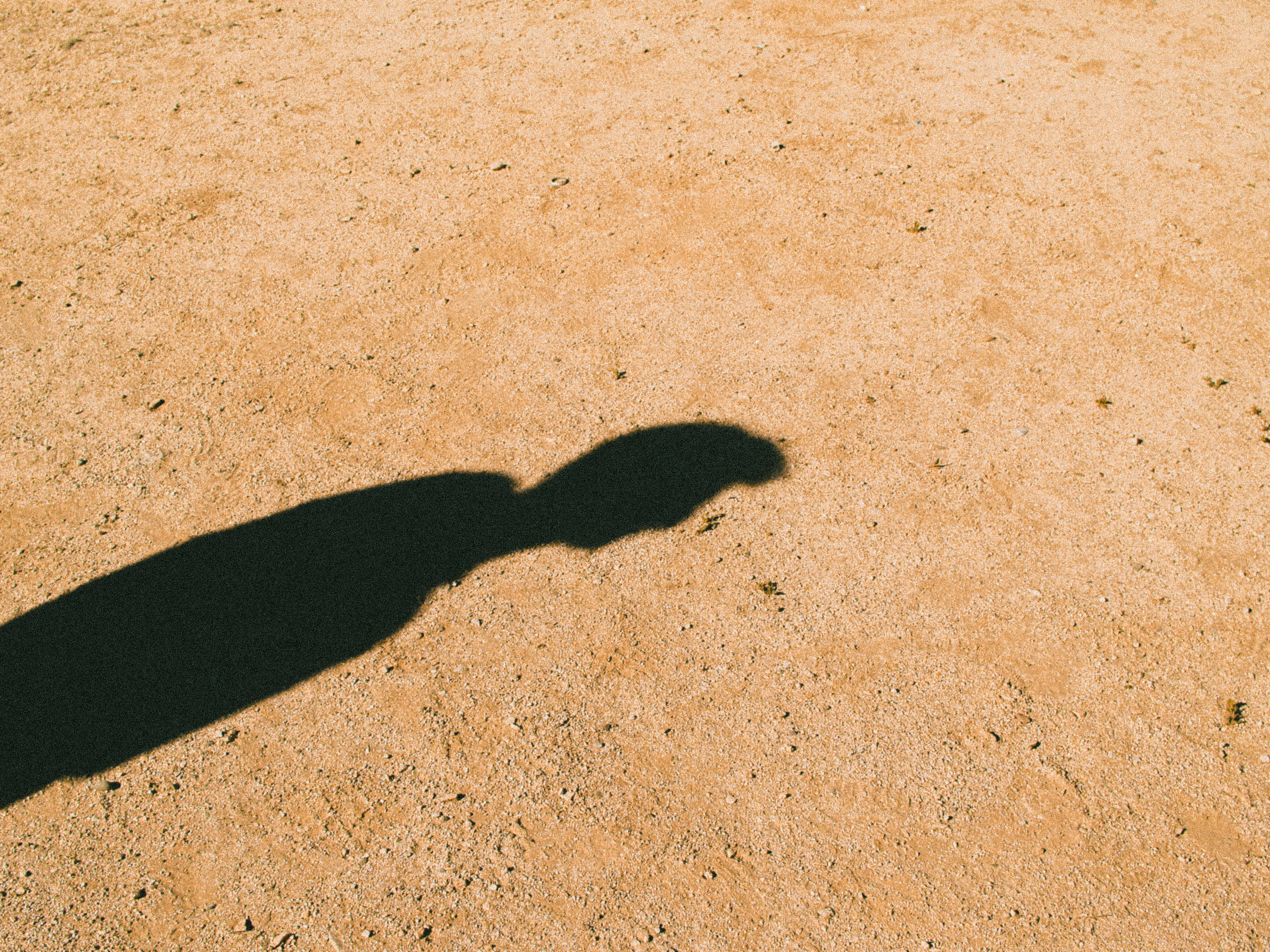 Shadow of Atticus Reynolds cast on sandy ground